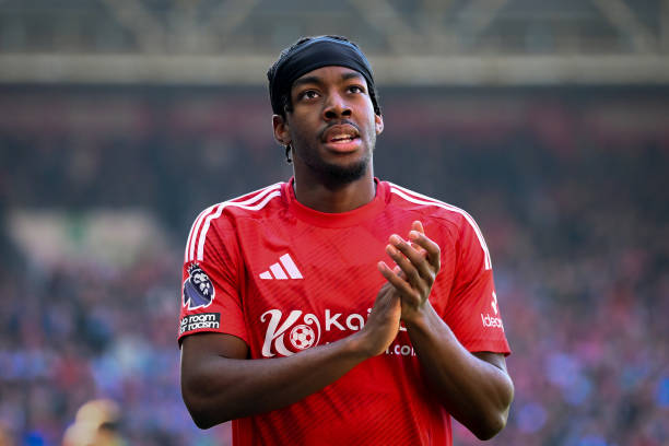 并迅速成为 并迅速成为