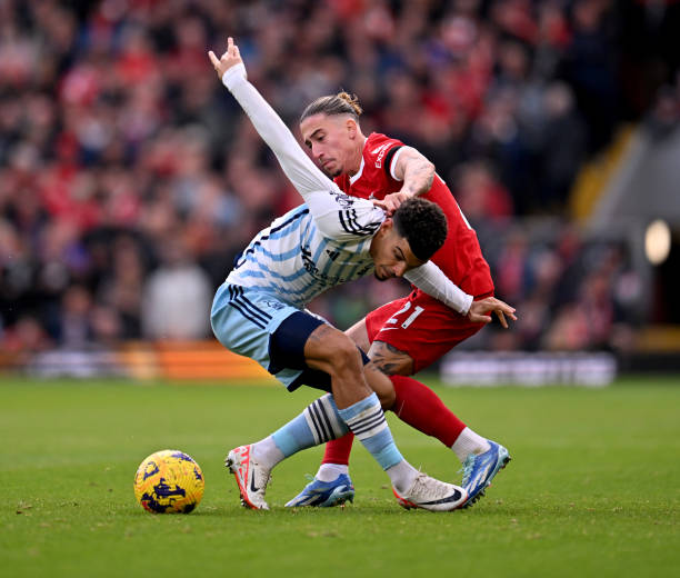 助商的关注 助商的关注